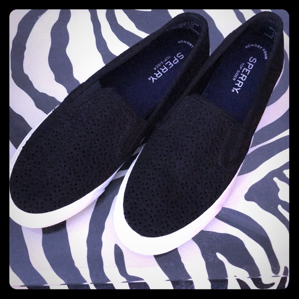 Sperry’s Top-spider